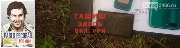 прущие грибы Новокубанск