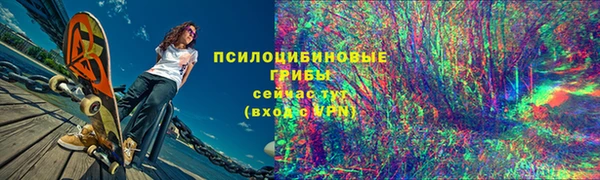 прущие грибы Новокубанск