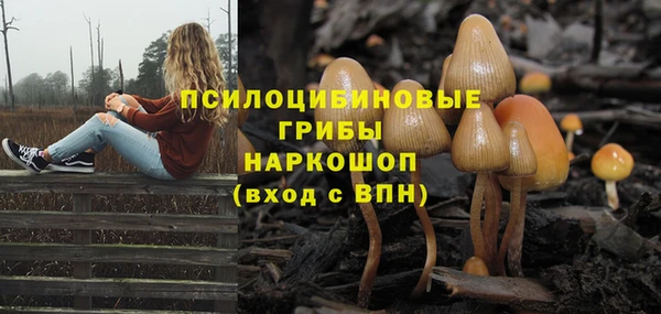 бутират Няндома
