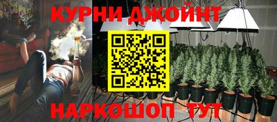 каннабис Гатчина