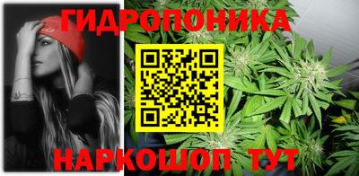 дмт Гагарин