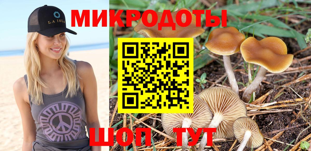 купить закладку  Вход с VPN  Алексеевка  Псилоцибиновые грибы ЛСД 