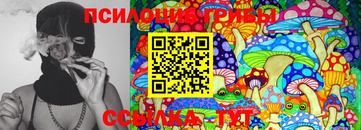 Галлюциногенные грибы Psilocybine cubensis Алексеевка