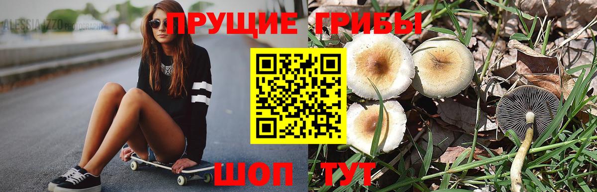 Алексеевка  Псилоцибиновые грибы Magic Shrooms  Галлюциногенные грибы Magic Shrooms  Вход с VPN 