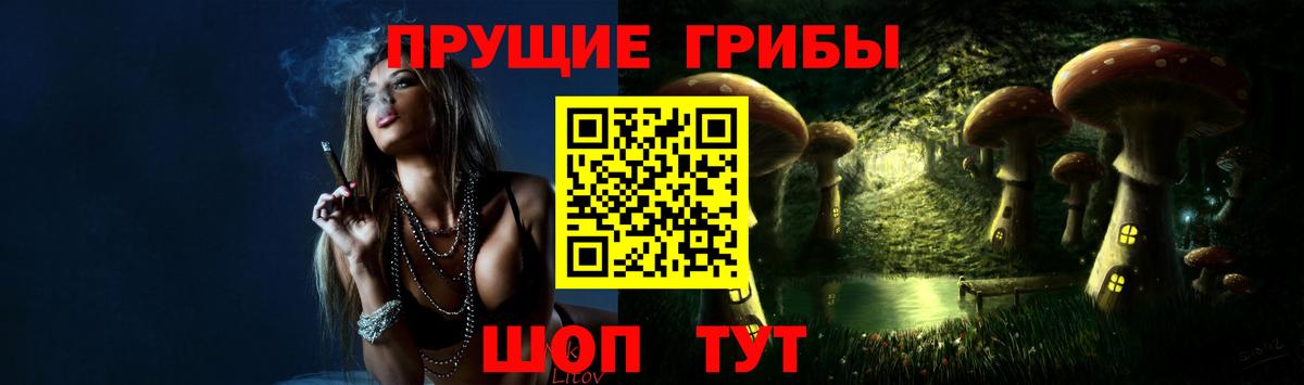 цена   Алексеевка  Галлюциногенные грибы мухоморы 